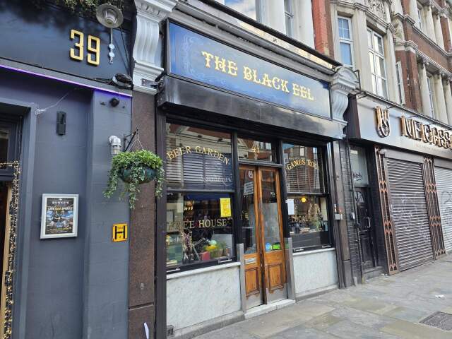 Image of The Black Eel