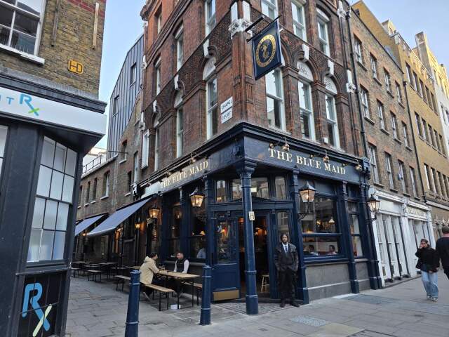 Image of The Blue Maid