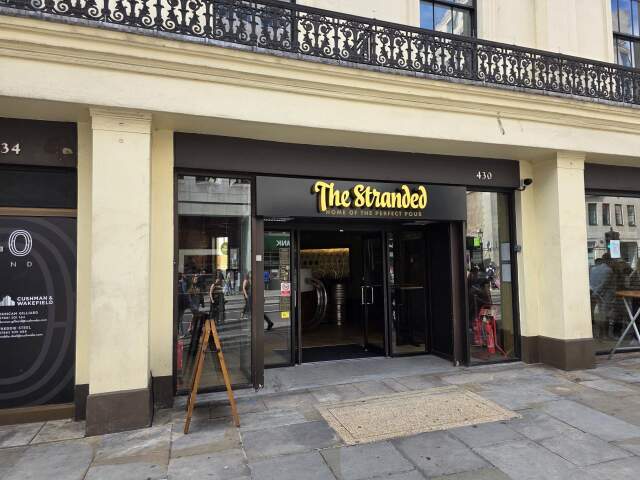 Image of The Stranded